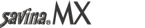 savina minimax logo