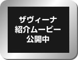 to introductory movie