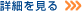 �ڍׂ�����