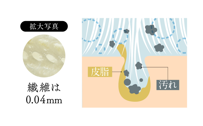 ベルカップル繊維拡大・特徴