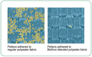 Examples of how frictional static charge attracts pollens