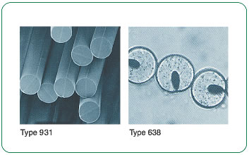 Cross-sectional photo