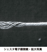 シエスタ電子顕微鏡 拡大写真