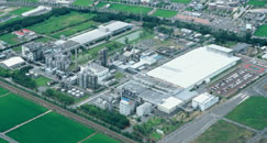 hokuriku plant